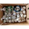 normal white garlic to Singapore market from China garlic factory