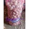 China Normal white garlic with meshbag pacakge to Paraguay market #2 small image