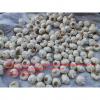 2021 NEW CROP PURE WHITE GARLIC WITH ROOT TO SPAIN MARKET