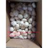 China Pure white garlic with carton and meshbag package to EU Market #1 small image