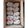 China Normal white garlic with carton package to UK Market #1 small image