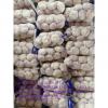 white garlic with carton package to UK Market with good quality from China #1 small image