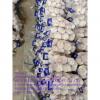 white garlic with carton package to UK Market with good quality from China #3 small image