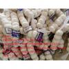 pure white garlic with tube meshbag to Iraq market from china garlic factory #1 small image