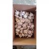 Normal white garlic with carton package to UK Market ! #2 small image