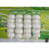 best manufacturer of White Garlic in China