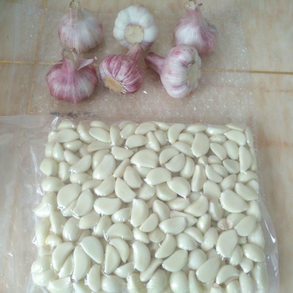 Garlic Puree/ Garlic Clove/ Garlic Meat #1 image