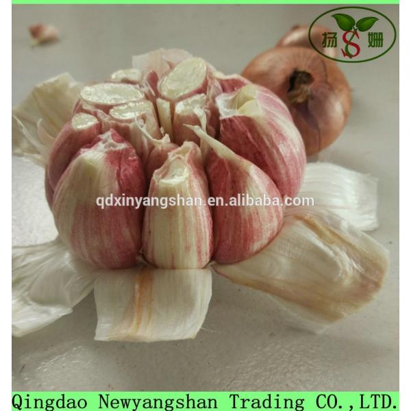 Hot Sale Chinese Garlic With A Purple White Skin Outside And Each Clove Purple White Skin Inside #1 image