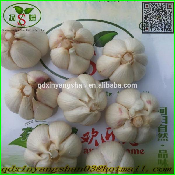 Hot Sale Chinese Garlic With A Purple White Skin Outside And Each Clove Purple White Skin Inside #3 image