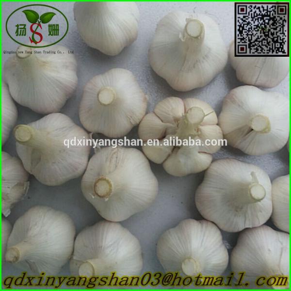 Garlic Production Peeled Garlic Wholesale Price #5 image
