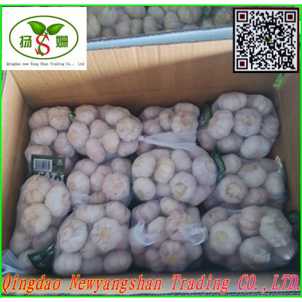 Chinese 2017 Fresh Garlic Price Purple/Red/Pure White Garlic #6 image