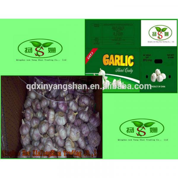 Professional Garlic Exporter In China Wholesale Chinese Garlic Packing In 10KG Boxes #3 image