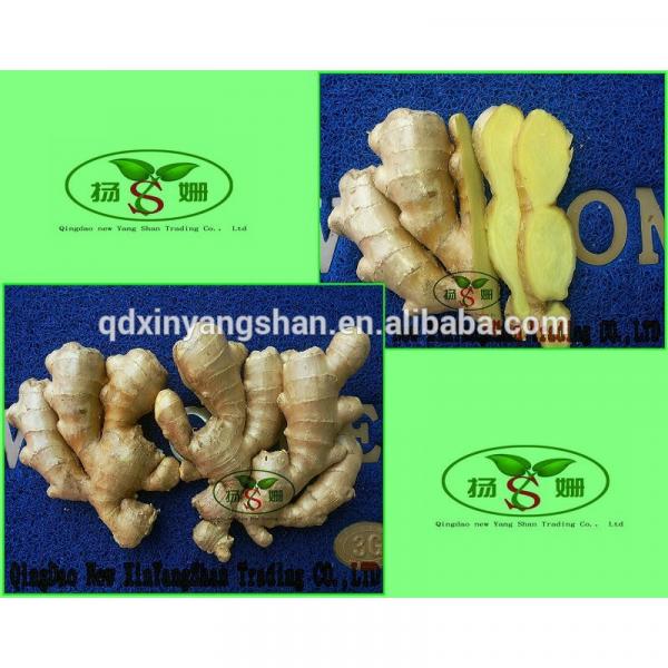(HOT) Shandong Purple Garlic Product Exporte to Dubai 10kg/Carton #4 image