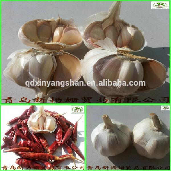(HOT) Shandong Purple Garlic Product Exporte to Dubai 10kg/Carton #3 image