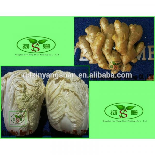 (HOT) Purple garlic exporters #3 image