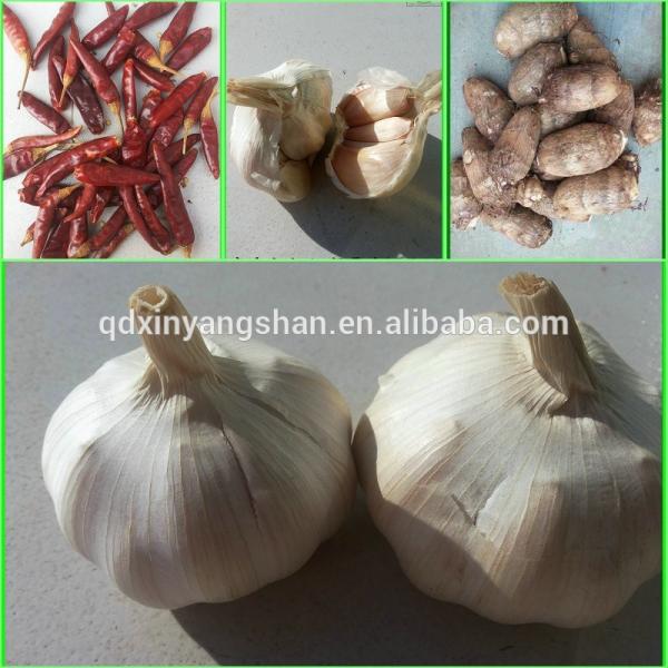 [HOT]Fresh Garlic by 5kg/10kg/ small pakage #4 image