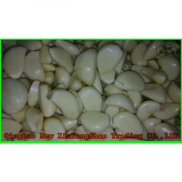 Professional Chinese Garlic Supplier Health Benifits Fresh White Garlic #4 image