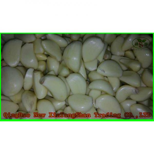 Wholesale Chinese 2017 Fresh Garlic Price Purple/Red/Pure White Garlic #5 image