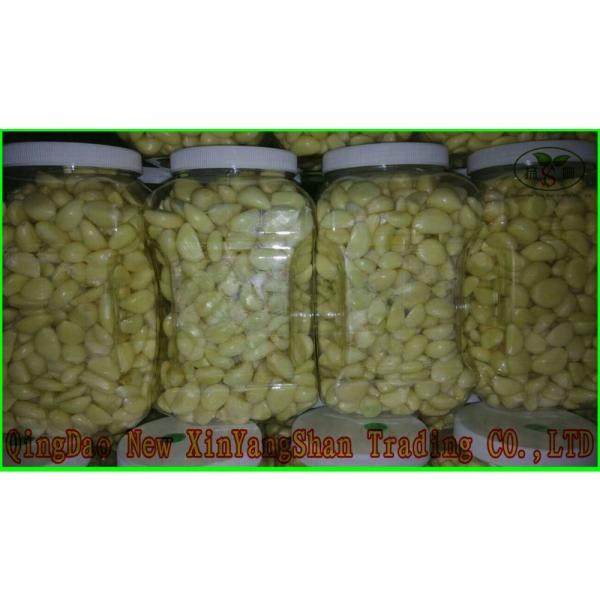 Garlic Production Peeled Garlic Wholesale Price #3 image