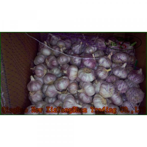 Chinese 2017 Fresh Garlic Price Purple/Red/Pure White Garlic #2 image