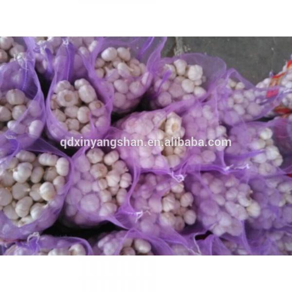 Chinese 2017 Fresh Garlic Price Purple/Red/Pure White Garlic #1 image