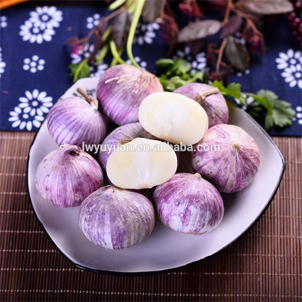 Wholesale fresh white garlic for export #3 image