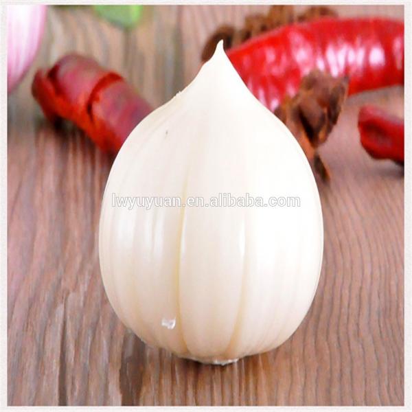 Wholesale fresh white garlic for export #4 image