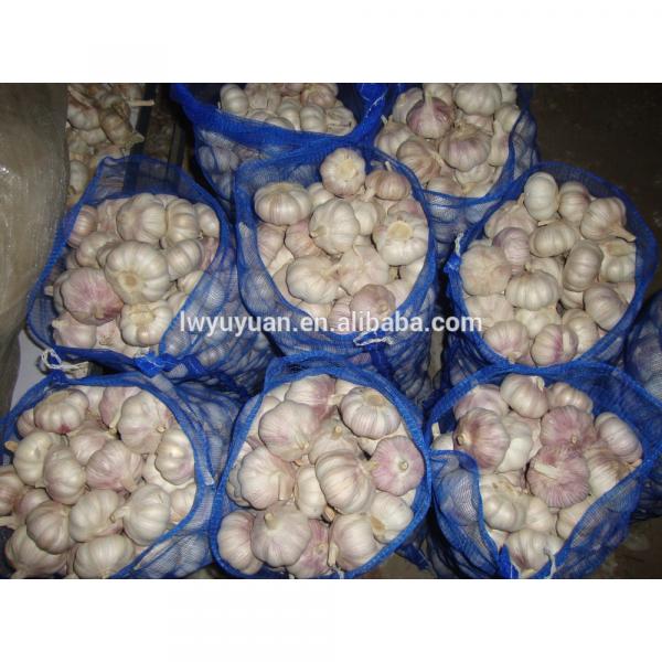 YUYUAN brand hot sail fresh garlic garlic juicer #4 image