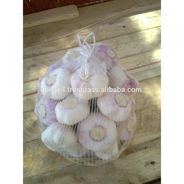 2017 best price fresh garlic promotion /sell new crop fresh garlic #2 image