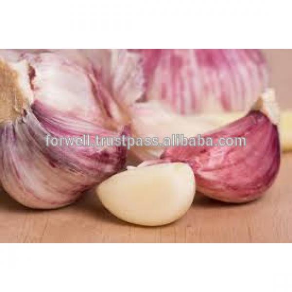 price special garlic ...best quality garlic...red white garlic #6 image