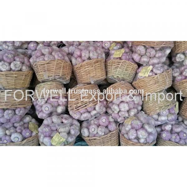promotion Best Price Natural Chinese Fresh Red / white Garlic 2017 #1 image
