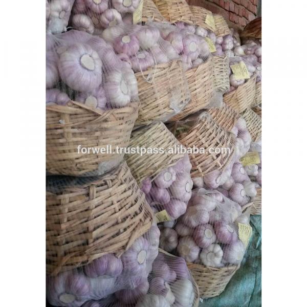 promotion Best Price Natural Chinese Fresh Red / white Garlic 2017 #3 image