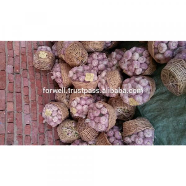 promotion Best Price Natural Chinese Fresh Red / white Garlic 2017 #2 image