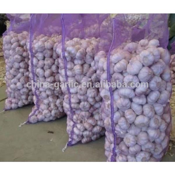 Chinese 2017 New Crop Fresh Garlic Price #2 image