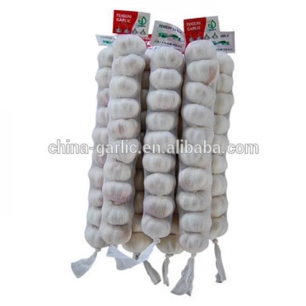 China cold storage fresh Garlic small packing good quality low price #3 image