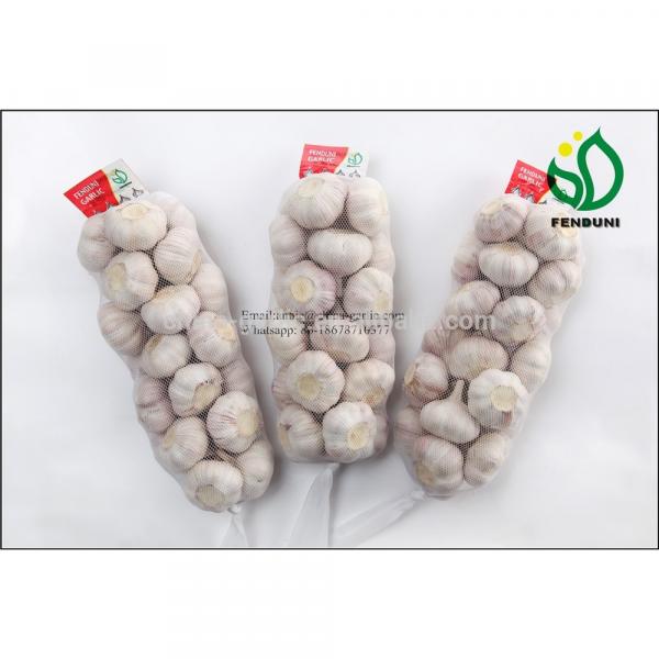 Fresh Red Garlic 2017 Very High Quality Garlic #6 image