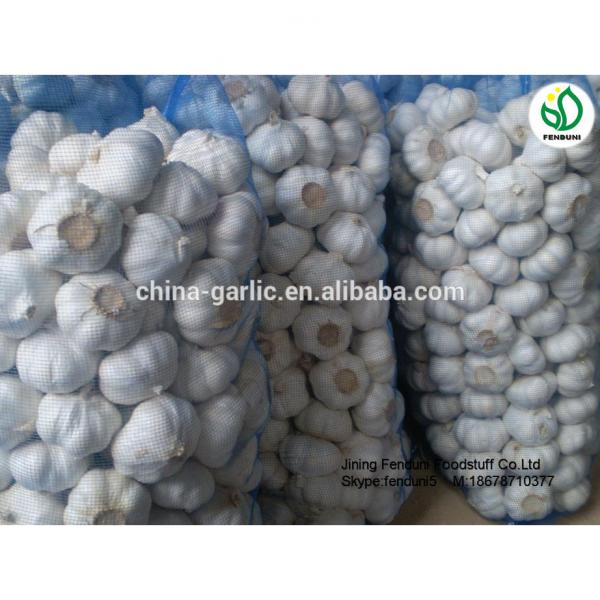 2017 China Purple Garlic Price #6 image