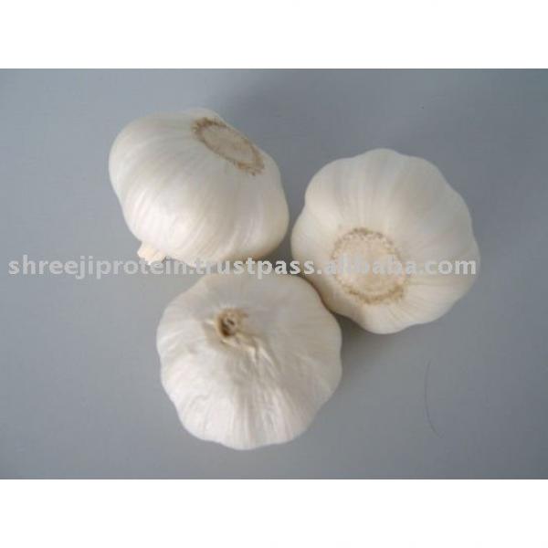 Fresh White Garlic #1 image