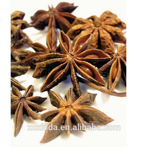 2015 new crop dried star anise #1 image