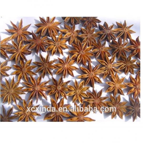 2015 new crop dried star anise #2 image