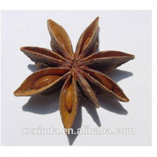 2015 new crop dried star anise #3 image