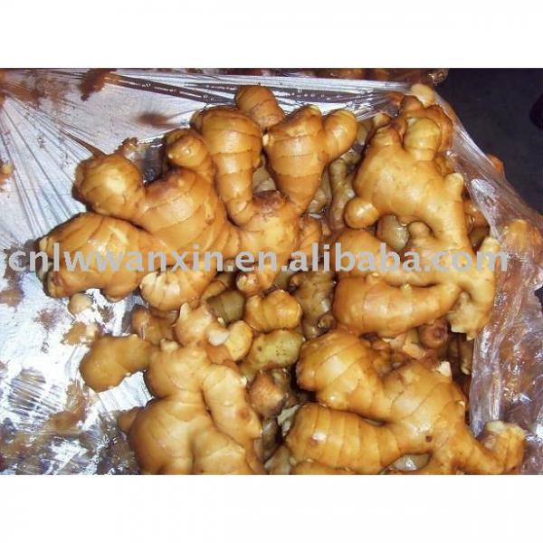 chinese fresh ginger #1 image