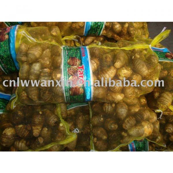 supply chinese fresh taro #1 image