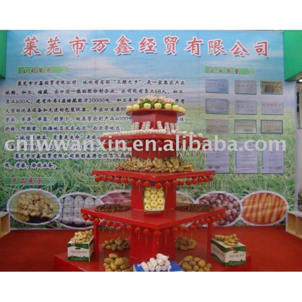 china fresh vegetable and fruits supplier #1 image