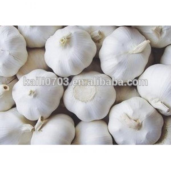 2015 Natural Fresh white garlic wholesales #1 image