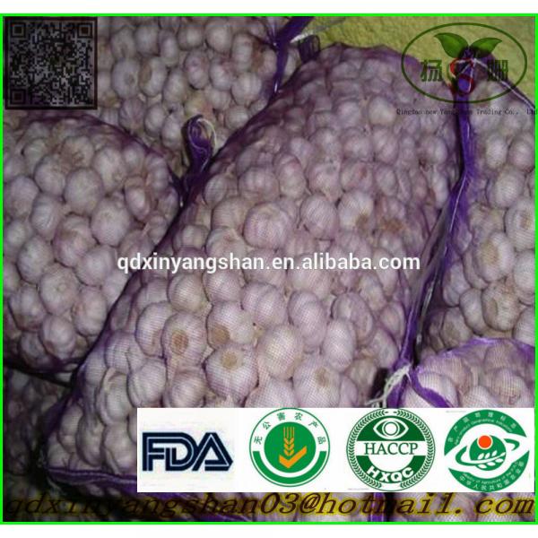 [HOT] Pure white garlic/white garlic Professional exporters #2 image