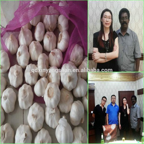 Hot Sale Chinese Garlic With A Purple White Skin Outside And Each Clove Purple White Skin Inside #6 image