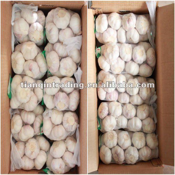 fresh garlic 2017 low price #1 image