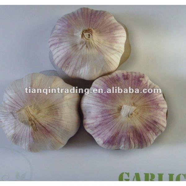 2017 Chinese cheap fresh vegetable #1 image