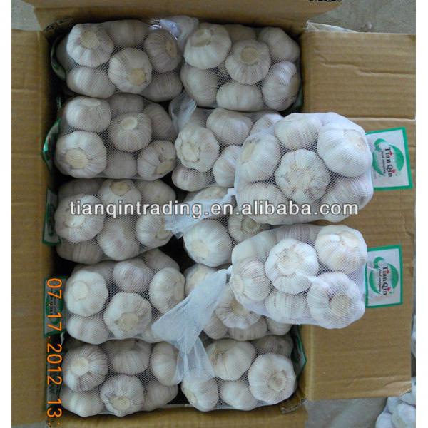 2017 natural garlic from China #1 image